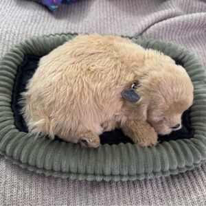 Interactive Tan Stuffed Puppy Toy